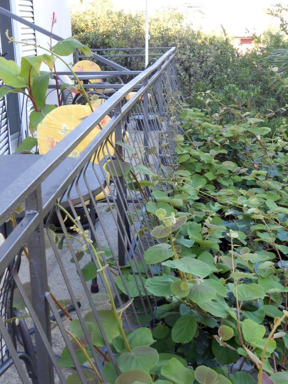 Guest House Villa Kosa 比耶拉 客房 照片