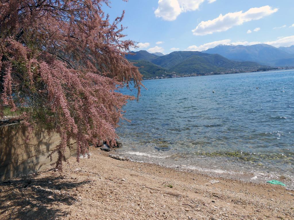 Guest House Villa Kosa 比耶拉 外观 照片